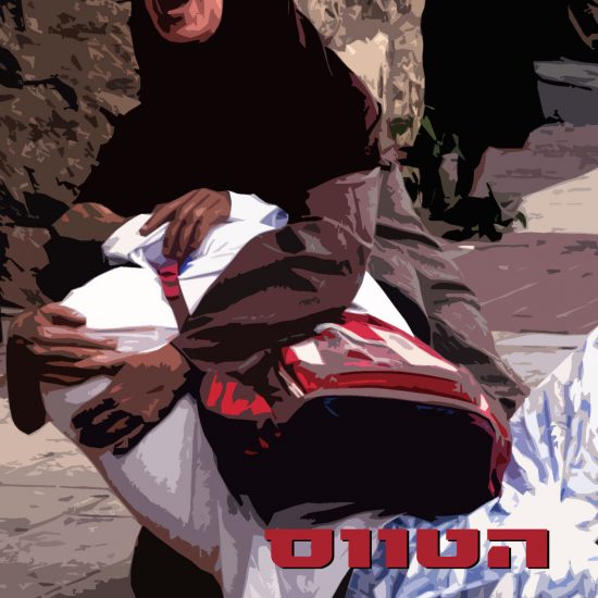 עטיפת הספר 'הטווס מסילוואן'/עלמה גניהר (צילום על העטיפה: דוד קפלן)